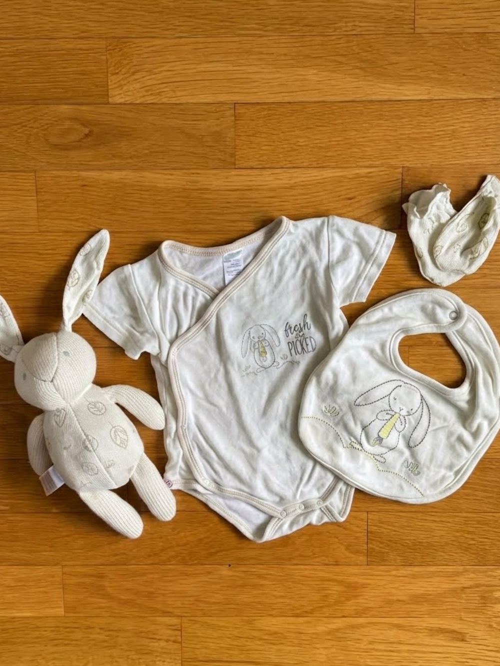 Baby Aspen "Fresh Picked" Easter Bunny 4-Piece Set – Size 3-6M